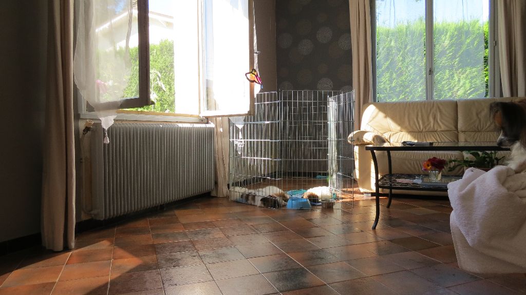 Lieu de vie intérieur